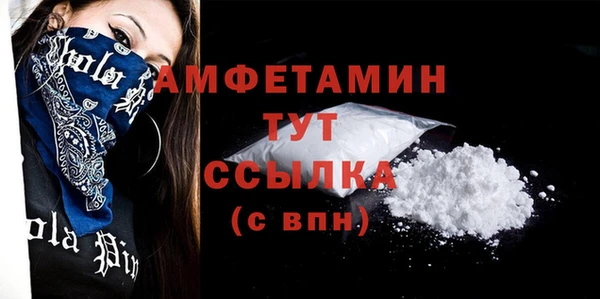 хмурый Гусь-Хрустальный