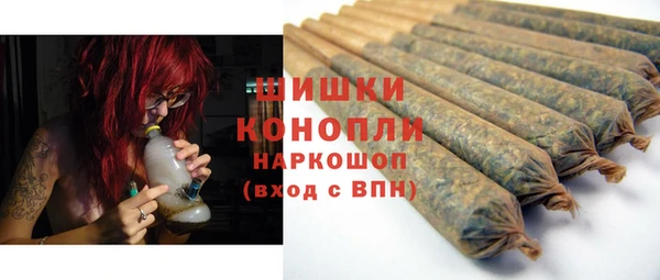 хмурый Гусь-Хрустальный