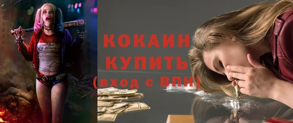 PSILOCYBIN Гусиноозёрск