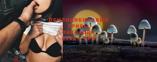 PSILOCYBIN Гусиноозёрск