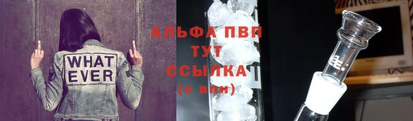 хмурый Гусь-Хрустальный