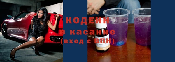 хмурый Гусь-Хрустальный