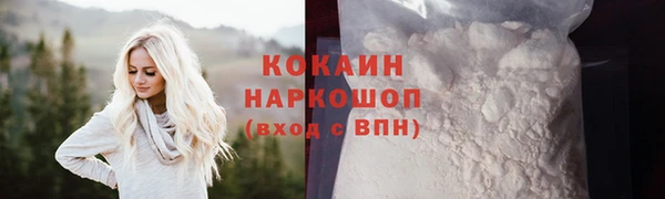 PSILOCYBIN Гусиноозёрск