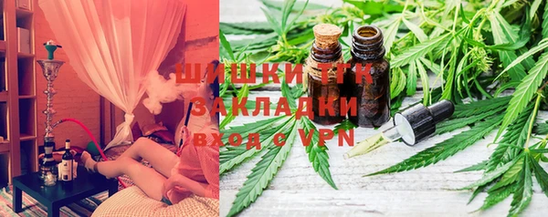 PSILOCYBIN Гусиноозёрск
