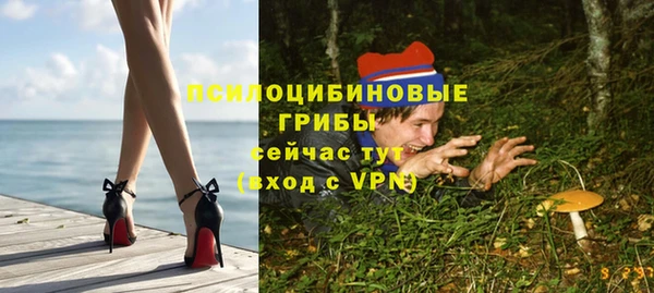 а пвп мука Гусев