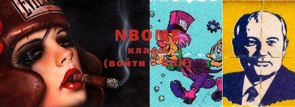 хмурый Гусь-Хрустальный