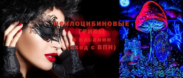 а пвп мука Гусев