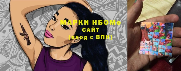 хмурый Гусь-Хрустальный