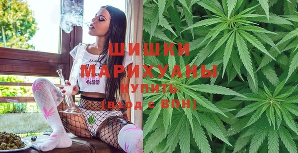 PSILOCYBIN Гусиноозёрск