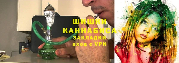 хмурый Гусь-Хрустальный