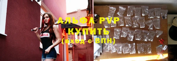 хмурый Гусь-Хрустальный